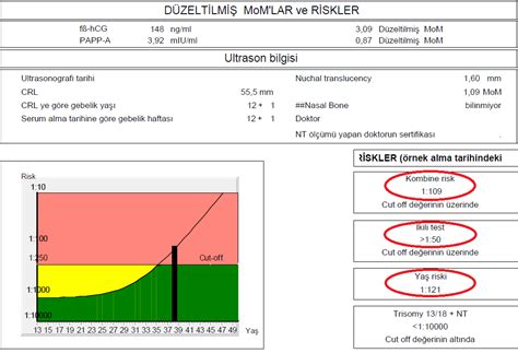 ikili test sonucu pdf ne demek